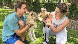 BABY LIONS MEET MY MONKEY  I CANT BELIEVE THIS HAPPENED… [upl. by Jordon]