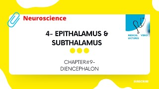 Epithalamus amp Subthalamus  CHAPTER9 DIENCEPHALON [upl. by Eoz326]