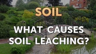 What Causes Soil Leaching [upl. by Adym]