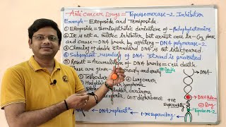 Anticancer Drugs Part13Topoisomerase 02 Inhibitors  Etoposide and Teniposide  Anticancer Drug [upl. by Care]