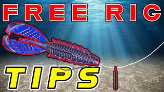 Free Rig Fishing For Bass Tips And Tricks  Underwater Footage [upl. by Peyter]