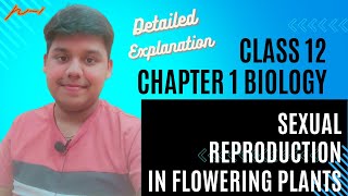 Sexual Reproduction in Flowering Plants in Part 1CBSE Class 12 biologyNCERT Biology [upl. by Ilehs]