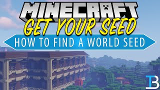 How To Find The Seed in Your Minecraft World [upl. by Alikam]