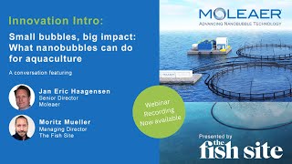 The Fish Site Webinar Small bubbles big impact  What nanobubbles can do for aquaculture [upl. by Dorelia]