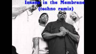 Insane in the Membrane techno Remix [upl. by Onailimixam]