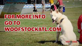 Woofstock 2017  May 6 amp 7 in Suwanee GA [upl. by Basilius438]