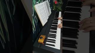 Piano music the sheltering sky Theme by sakamoto sakamoto pianomusic shelteringsky [upl. by Thornburg424]