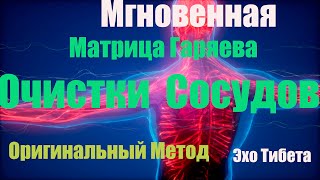 quotМгновенная Матрица Гаряева для Очистки Сосудов Оригинальный Методquotэхотибета [upl. by Jaworski834]