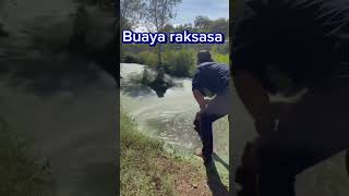 Cara mengetahui di sungai ada buayabuayaraksasa [upl. by Ahtram]