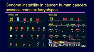 Evolution of Genome Instability in Cancer with Don Cleveland  Sanford Stem Cell Symposium [upl. by Ytrebil]