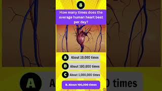 How many times does the average human heart beat per day [upl. by Dorry]