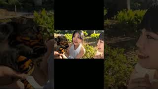 Japanning so cute girl video hardenu pany funny vlog ratankarki japan funnymemepicture vlog [upl. by Aihppa]