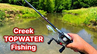 Topwater Creek Fishing Compilation [upl. by Akcimehs]