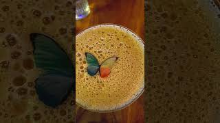 One of the best Resto Bar in Chennai  Purple Chameleon  Phoenix Mall  COUPLE VOYAGE [upl. by Ia]