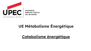 Catabolisme énergétique  exercices corrigés [upl. by Leinadnhoj]