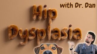 Dog Hip Dysplasia made simple [upl. by Rolfe]