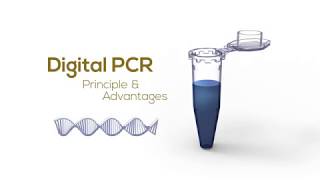 Digital PCR Principle amp Advantages [upl. by Ariait]