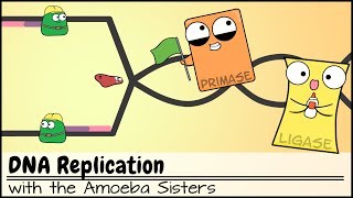 DNA Replication Updated [upl. by Jayne]