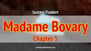 Madame Bovary Audiobook Chapter 5 with subtitles [upl. by Akemehc]