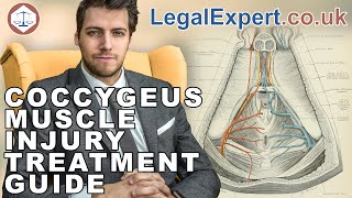 Coccygeus Muscle Injury Treatment Guide  2019  UK [upl. by Candyce]