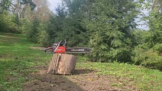 Coocheer 62CC 20quot Chainsaw Review WATCH TILL THE END [upl. by Buiron837]