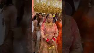 Afsana Khan wedding entryafsanakhanrakhisawantdonalbisht rashmidesai umarriaz himanshikhurana [upl. by Karney]