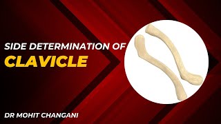 Clavicle Side Determination  Anatomy Made Simple [upl. by Aggarwal]