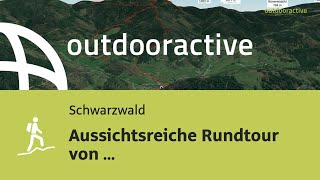 Bergtour im Schwarzwald Aussichtsreiche Rundtour von MünstertalSchwarzwald [upl. by Nowad644]