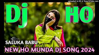 BUGIN DISUM RE NEW HO MUNDA Dj SONG 2024 Dj SALUKA BABU KKANDEYANG Dj BASAKUUTI [upl. by Susan]