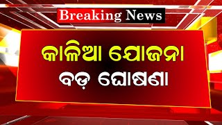 Kalia Yojana New Update 26 December  Kalia Yojana 2024 Update  Odisha TV [upl. by Pronty]