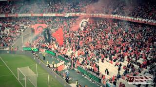 No Name Boys  Tu és o nosso Rei Benfica Guimarães 20142015 [upl. by Irtemed]