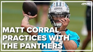 Matt Corral practices with the Carolina Panthers for the first time [upl. by Asseret561]