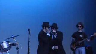 The Blues Brothers Everybody Needs Somebody To Love [upl. by Frohne]