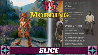 Baldurs Gate 3 VS Solasta – Modding Comparison Series [upl. by Llireva869]