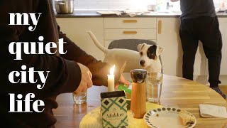 Oslo Norway Slow city life with a dog  Silent vlog  Thoughts on work  life balance [upl. by Nwahc]