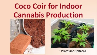 Coco Coir for Indoor Cannabis Production [upl. by Colley]