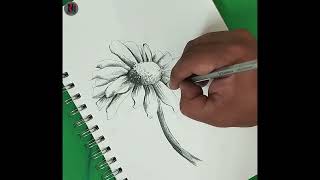 Easy amp Simple Pencil Sketch IDEAS For BeginnersRiCraftArt [upl. by Evante596]