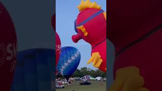 Plano Texas hotairballon Festival [upl. by Annhoj]