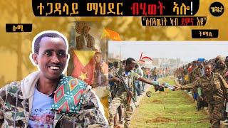 🛑 ክወልድ ኣይኽእልን ተዘካሪት ምስሊ ልቢ ርህሩህ ጅግና ተጋ ማህደር ጉዑሽ ብሂወት ኣሎ [upl. by Ynamad]