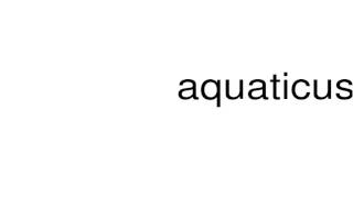 How to pronounce aquaticus [upl. by Sirois198]