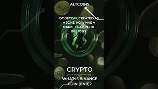 What is Binance Coin BNB BinanceCoin BNB cryptotrends2024 profitable [upl. by Wareing]