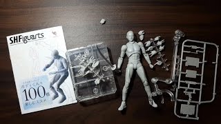 DX SET BODY KUN Gray Color Version SHFiguarts Unboxing [upl. by Aniahs53]