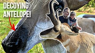 BOWHUNTING ANTELOPE USING PAINTED DEER DECOYS AMAZING RESULTS [upl. by Ivad628]