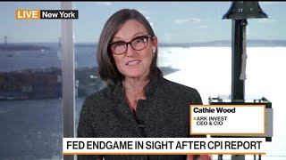 Cathie Wood Fed Has Overdone It More Deflation Ahead [upl. by Aidin]