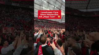 quotVöööööllig looooosgeeelööööstquot  Bayer Leverkusen ist Deutscher Meister die Fans eskalieren [upl. by Archer]