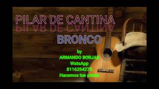 PILAR DE CANTINA KARAOKE BRONCO [upl. by Noryd630]