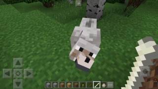 COMO DOMESTICAR UN LOBO EN MINECRAFT POCKET EDITION [upl. by Enelrahs392]