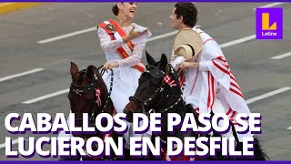 Caballos peruanos de paso y sus chalanes se lucieron en el Desfile Cívico Militar [upl. by Shaum722]