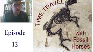 Episode 12 Time Traveling with Fossil Horses [upl. by Ateiram]