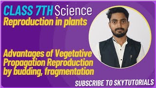 Reproduction in Plants Advantages of Vegetative Propagation Reproduction by budding fragmentation [upl. by Andert203]